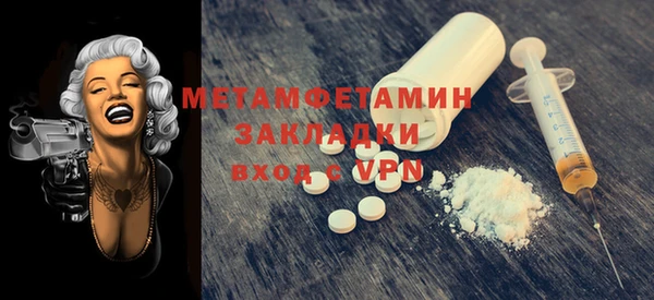 молекула духа Богданович